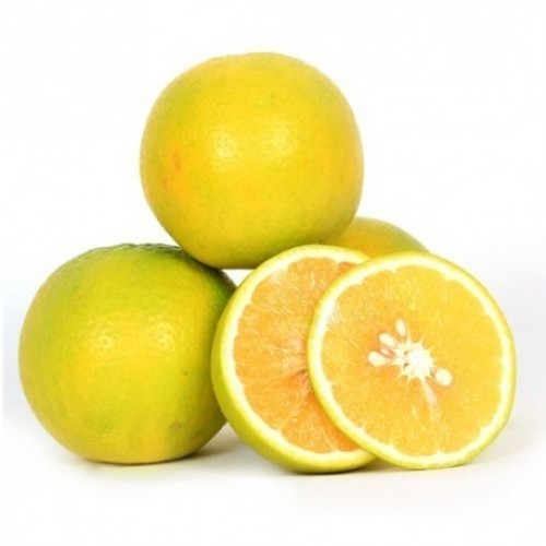 Sweet Lime (Mosambi)